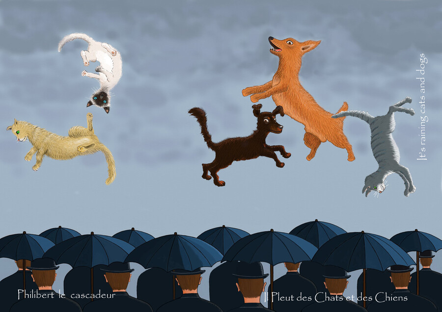 il pleut des chats et des chiens