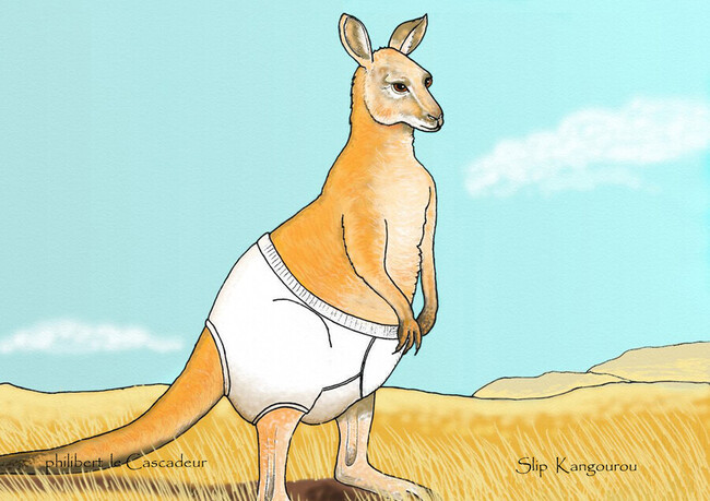 slip kangourou